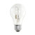 Bulbrite Halogen A19 Medium Screw Base  E26  Light Bulb  53 Watt  75 Watt Incandescent Equivalent   Clear