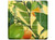 Jo Malone Lime Basil and Mandarin Soap for Unisex  3.5 Ounce