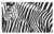 Lunarable Zebra Print Doormat  Wild Zebra Design with Animal Profile Blended Over Itself Abstract Pattern  Decorative Polyester Floor Mat with Non-Skid Backing  30" X 18"  White Black