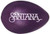 RHYTHMIX EGGS - 1 PAIR SANTANA GRAPE