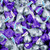 Silver and Purple Candy Hershey's Kisses 1 lb - Dark Chocolate  and  Milk Chocolate
