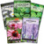 Sow Right Seeds - Herbal Tea Collection - Lemon Balm, Chamomile, Mint, Lavender, Echinacea Herb Seed for Planting- Non-GMO Heirloom Seed, Instructions to Plant Indoor or Outdoor- Great Gardening Gift