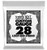 Ernie Ball 1328 .028 Loop End Stainless Steel Plain Banjo or Mandolin Single String
