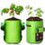 2 Pack Potato Grow Bags 10 Gallon,Tomato Planter, Plant Grow Bags for Vegetables Garden Strawberry Tomato Carrot Planting Sacks Sweet Planting Bag Window Planters Bags Vegetable Storage-Green-