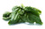 Bloomsdale Spinach Seeds - 100 Seeds