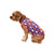 FOCO Clemson Tigers NCAA Busy Block Dog Sweater - S