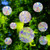 16 Pieces Circle Window Clings - Anti-Collision Window Decals to Save Birds from Window Collisions,Non Adhesive Prismatic Vinyl Window Clings, Rainbow Stickers