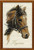 Riolis R826 Bulat Counted Cross Stitch Kit, 9.75 by 15.75-Inch