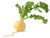 Sow No GMO Turnip Golden Ball/Globe Non GMO Heirloom Garden Root Crop/Greens Vegetable 50 Seeds