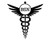 Custom BSN Nurse Vinyl Decal - Caduceus Nursing Bumper Sticker, for Tumblers, Laptops, Car Windows - Rn Cna LPN Decal
