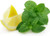 100 plus Lemon Mint Seeds for Planting Herb Vegetable Seed Non-GMO