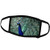 3dRose Dreamscapes by Leslie - Birds - Male Peacock with Full Fan - Face Covers -fc_314266_2-