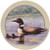 Thirstystone Stoneware Loons Coaster, Multicolor