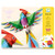 DJECO Paper Creation Craft Kit - Amazoni