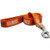 Pet Goods Manufacturing NCAA Illinois Illini Dog Lead, Medium