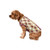 FOCO Florida State Seminoles NCAA Busy Block Dog Sweater - XS