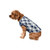 FOCO Penn State Nittany Lions NCAA Busy Block Dog Sweater - M