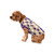 FOCO Washington Huskies NCAA Busy Block Dog Sweater - M FOCO Washington Huskies NCAA Busy Block Dog Sweater - M