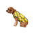 FOCO Iowa Hawkeyes NCAA Busy Block Dog Sweater - L