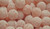 Mega Sour Cherry Fizz Bombs 250 gram bag -1/4 kilo-