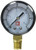 EZ-FLO 45162 Pressure Test Gauge