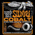 Ernie Ball Cobalt Regular Slinky 2722