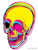 CMYK SKULL - Dye Cut Sticker Vinyl Decal - Just Peel off and Stick