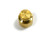 Eisco Labs Balance Weight - Brass - 10 Grams