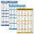 Palace Learning 3 Pack- Dumbbell Workouts Plus Bodyweight Exercises Plus Suspension Routine Poster Set - Set of 3 Exercise Charts -Laminated- 18inch x 27inch-