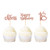 Ercadio 36 Pack Rose Gold Glitter 18th Happy Birthday Cupcake Toppers Number 18 Eighteen Cheers Cupcake Picks 18th Birthday Anniversary Party Cake Decorations