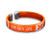 Fundraising For A Cause | Orange Ribbon Awareness Bangle Bracelet  Orange Ribbon Awareness Wristband for Multiple Sclerosis- Leukemia- Kidney Cancer Awareness -1 Bracelet- Fundraising For A Cause | Orange Ribbon Awareness Bangle Bracelet  Orange Ribbon Awareness Wristband for Multiple Sclerosis- Leukemia- Kidney Cancer Awareness -1 Bracelet-