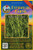 Everwilde Farms - 1000 Bebb's Oval Sedge Native Grass Seeds - Gold Vault Jumbo Seed Packet