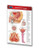 Permacharts - Reproductive System Pocket Chart - -