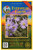 Everwilde Farms - 500 Smooth Blue Aster Native Wildflower Seeds - Gold Vault Jumbo Seed Packet