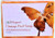 Skin Magical Orange Peel Face and Body Soap- 135g