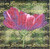 Cosmos Cross Stitch Chart by Janlynn