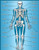 Teacher Created Resources Skeleton Chart- Multi Color -7632-