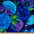 Timeless Treasures Large Floral Midnight Fabric by The Yard