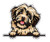 WickedGoodz Smiling Havanese Vinyl Decal - Dog Breed Bumper Sticker - for Laptops Tumblers Windows Cars Trucks Walls