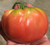 Prudens Purple Heirloom Tomato Premium Seed Packet