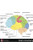Human Brain Anatomy Regions Labeled Educational Chart Cubicle Locker Mini Art Poster 12x8