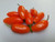 NuMex Orange Spice Jalapeno Pepper0Plus Seeds