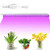 Takefuns 24 LED Grow Light Bars-Indoor Hydroponics Plants Flower Grow Lamps- Full Spectrum Grow lamp for Indoor Plants Veg Flower