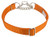 Country Brook Design - Half Check Nylon Dog Collars - Orange - Extra Large