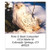 Owls Select Self-Adhesive- Flat-Sheet Address Labels -12 Designs-