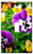 Switch Plate Single Toggle - Pansy Flower Purple Yellow Blossom Bloom Nature