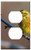 Switch Plate Outlet Cover - The Strand Bird Nature Beak Branch Perched