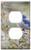 Switch Plate Outlet Cover - Florida Scrub Jay Bird Wildlife Nature Branch