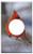 Single Hole Device Receptacle Wall Plate Cover - Cardinal Bird Red Winter Branch