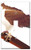 Switch Plate Single Toggle - Eagle Hawk Bird Branch Media Image